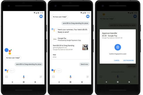Google assistant pay
